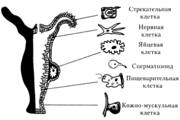 Mega sd зеркало